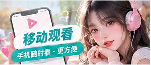 使用与安装指南主题画面